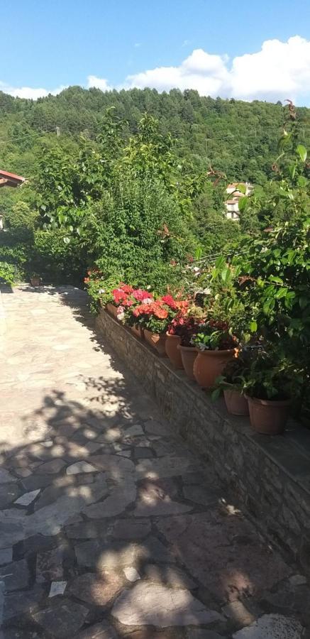 Ferienwohnung Το Σπίτι Της Ευτυχίας Σουίτα Karpenísion Exterior foto