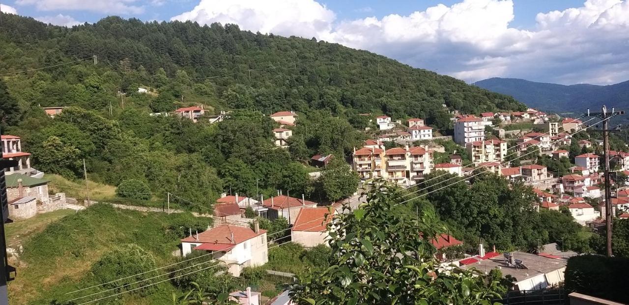 Ferienwohnung Το Σπίτι Της Ευτυχίας Σουίτα Karpenísion Exterior foto